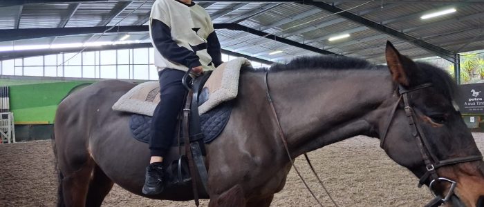 9940b62e-a227-4975-aab7-aa0c0092c9a5-2