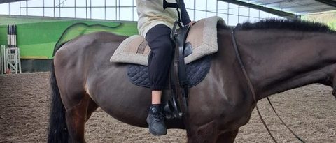 a2d9a1d8-0d93-4958-a97e-add2274c7f92-2